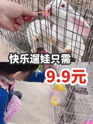 点击看大图 -前小桔亲子创意农场·草莓采摘·露营烧烤