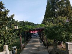 -白马涧龙池景区