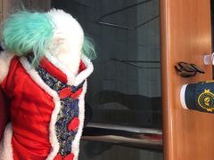 -全家便利店(沪青平公路四店)