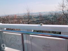 -上海佘山国家森林公园西佘山园