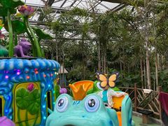 -南宫五洲植物乐园