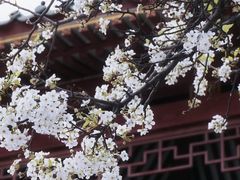 -中山公园