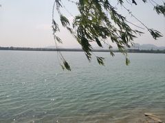 -青龙湖公园