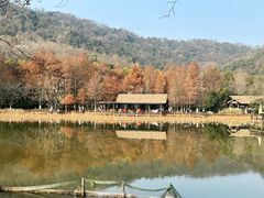 -八卦田遗址公园