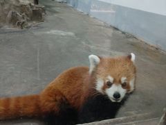 -柳州市动物园