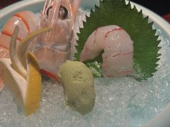 -九州酒场ひこぞう(1号店)