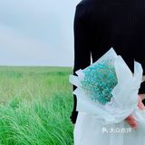 南京周边寻春路线