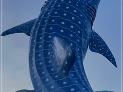 -珠海长隆海洋王国