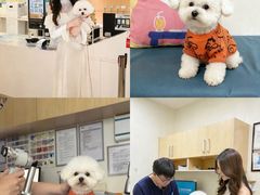 -美联众合动物医院·24h京西诊疗中心