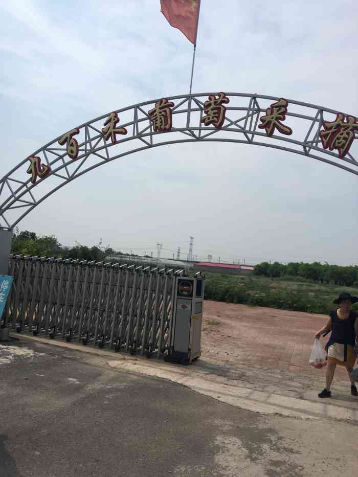 九百禾葡萄采摘园