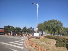 -丁香湖公园