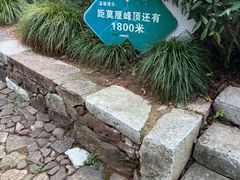 -雨花胜境