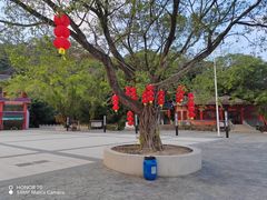 -飞霞风景名胜区