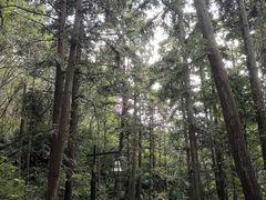 -冶父山国家森林公园
