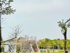 -深圳人才公园