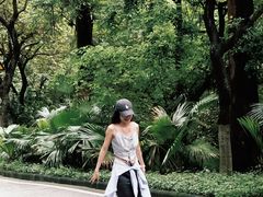 -火炉山森林公园