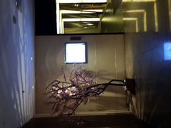 android_upload_pic-金柚子韩国烤肉(威宁路店)