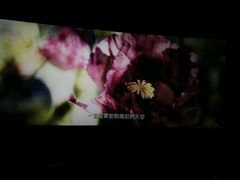 -和平影视娱乐城