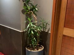 -湘满甲·黄焖甲鱼创始者·湘菜·鲁菜(潘家园店)