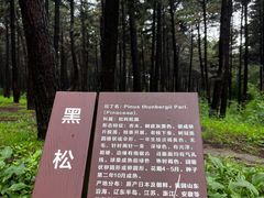 -长春净月潭风景名胜区