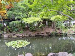 -秋霞圃