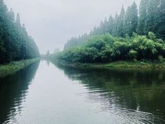 -黄海国家森林公园