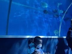 -北戴河圣蓝海洋公园