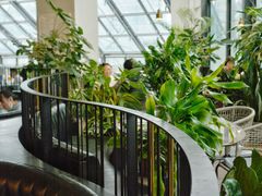 大堂-大树餐厅(红旗街万达店)