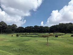 -宜兴龙背山森林公园