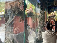 -戏马台景区