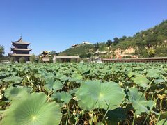 -渭南桃花源民俗文化园