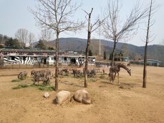 -大连森林动物园