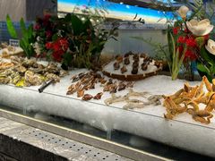 -一方渔歌蒸汽海鲜自助(文化路万达广场店)