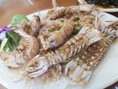 -友强·23年特色海鲜大排档(厦门店)