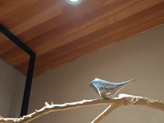 -鑫涛温泉汗蒸时代