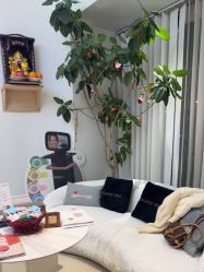 -WENDY·温迪皮肤管理