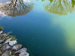 -崇圣寺三塔文化旅游区