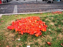 -烈士陵园(地铁站)