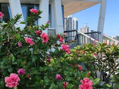 -太平洋咖啡(海天驿站店)