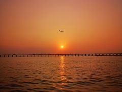 -宝安西湾红树林湿地公园