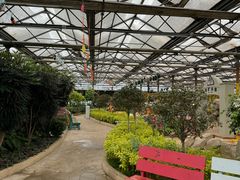 -南宫五洲植物乐园