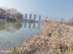 -九里河湿地公园