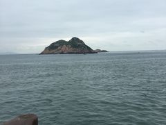 -枸杞岛