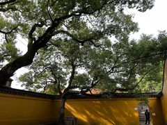 -西园戒幢律寺
