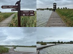 -盐城丹顶鹤湿地生态旅游区