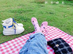 -大湾区中央湿地公园