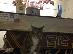 -逃脱反斗城沉浸剧情密室(北京路店)