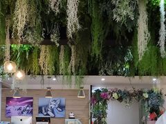 -Husky Go! 哈士奇体验馆·宠物咖啡厅狗咖