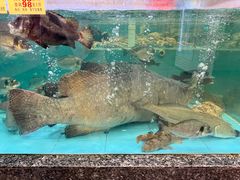 -花好悦园酒家(大石店)