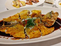 -圆苑(金茂店)